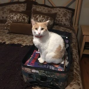 Meet your Posher, Carol